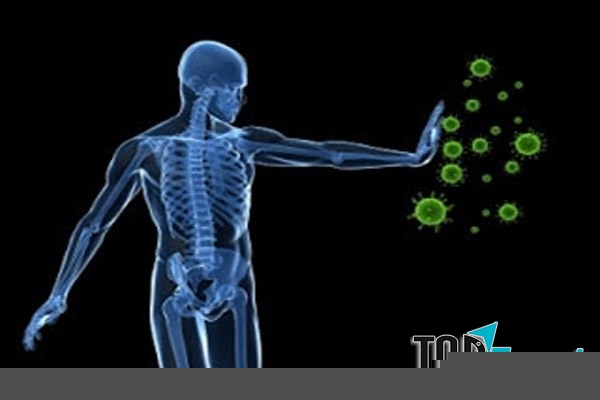 Thực phẩm giúp tăng cường hệ miễn dịch, tốt cho sức khỏe