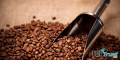 Công ty sản xuất cafe chất lượng nhất tại Huế