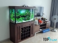địa chỉ bán bể cá cảnh đẹp tại Hải Phòng
