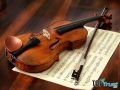 địa chỉ bán đàn violin uy tín nhất tại Hà Nội