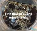 địa chỉ bán tinh dầu cà cuống uy tín nhất Hà Nội