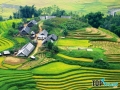 Địa điểm không thể bỏ qua khi du lịch Sa Pa
