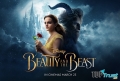 Điều thu hút khán giả nhất ở bộ phim Beauty and The Beast - Người đẹp và quái vật 2017