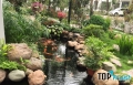 đơn vị thi công hồ cá Koi đẹp, chuyên nghiệp nhất tại Hà Nội