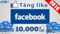 Kinh nghiệm thu hút like trên Fanpage Facebook