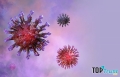 Lầm tưởng tai hại về Virus Corona mới