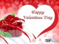 Loài hoa đẹp và ý nghĩa nhất tặng ngày Valentine 14/2