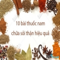 Loại thuốc trị sỏi thận tốt nhất hiện nay