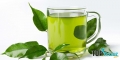 Lưu ý quan trọng khi sử dụng trà xanh