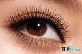 Mascara chống trôi, chống lem tốt nhất hiện nay