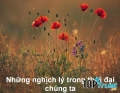 Nghịch lý cuộc sống
