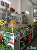 Nhà thuốc uy tín nhất quận 4, TP. HCM