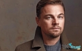 Phim hay nhất của Leonardo DiCaprio