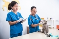 Phòng khám thú y uy tín nhất quận Ba Đình, Hà Nội