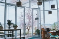 Quán cà phê có view nhà kính đẹp, nước uống ngon tại Đà Lạt.