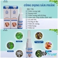 Sản phẩm thuốc trị viêm xoang dứt điểm hiệu quả nhất