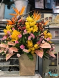 Shop hoa tươi đẹp và rẻ nhất ở Nha Trang