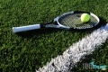 Tay vợt tennis nam hàng đầu thế giới hiện nay