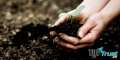 Thương hiệu phân bón vi sinh chất lượng nhất hiện nay