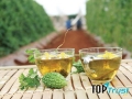 Thương hiệu trà khổ qua tốt cho sức khỏe được ưa chuộng nhất