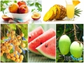 Trái cây giải độc tốt nhất mùa hè