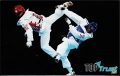 Trung tâm dạy võ taekwondo tốt nhất ở Hà Nội