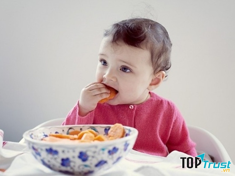 Thương hiệu bánh ăn dặm tốt nhất cho bé được các mẹ tin dùng hiện nay