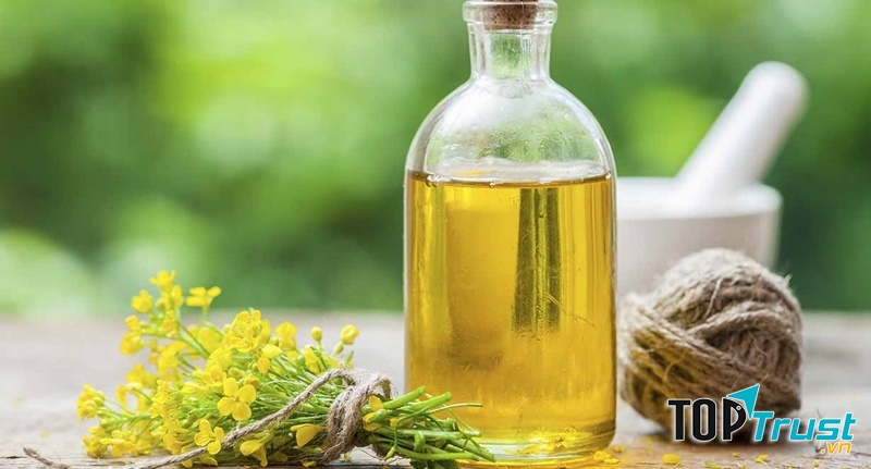 Thương hiệu dầu hạt cải được ưa chuộng nhất hiện nay