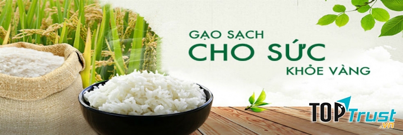 Thương hiệu gạo ngon, sạch được yêu thích nhất hiện nay