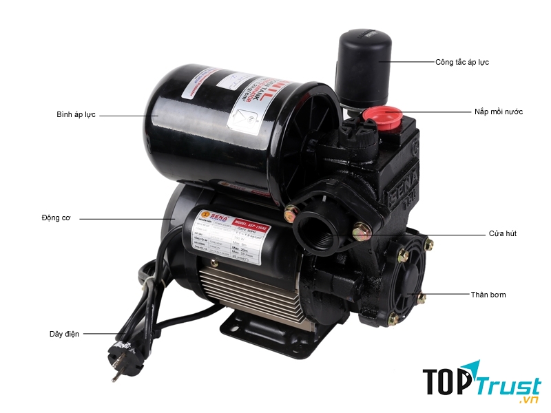 Thương hiệu máy bơm nước nổi tiếng nhất