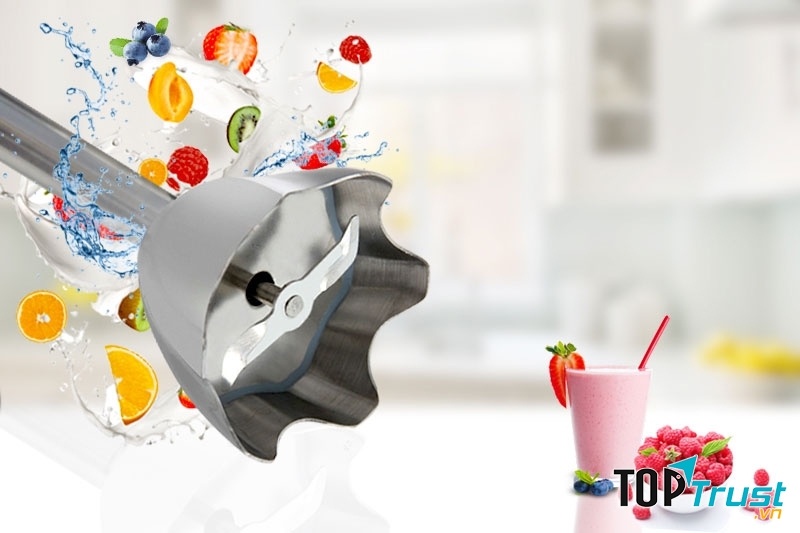 Thương hiệu máy xay cầm tay được ưa chuộng nhất