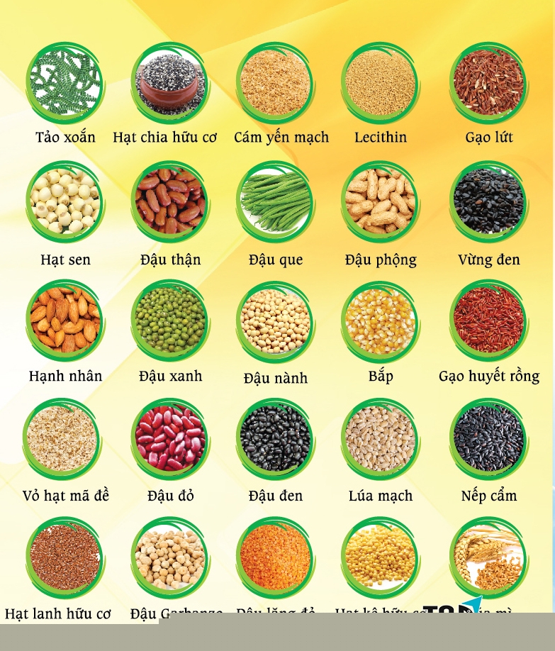 Thương hiệu ngũ cốc chất lượng nhất