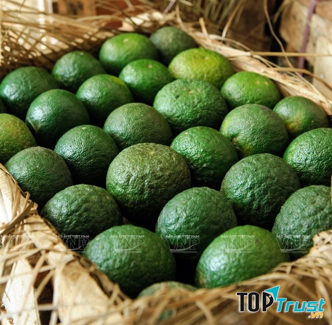 Thương hiệu nổi tiếng ở Vĩnh Long