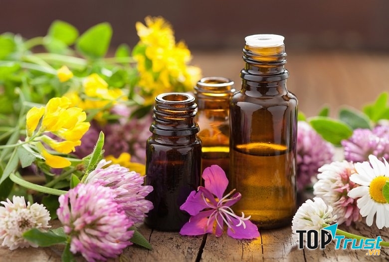 Thương hiệu tinh dầu thiên nhiên tốt nhất Việt Nam