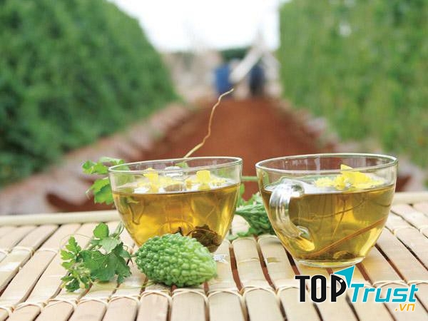 Thương hiệu trà khổ qua tốt cho sức khỏe được ưa chuộng nhất