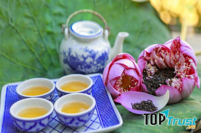 Thương hiệu trà sen tốt cho sức khỏe được yêu thích nhất