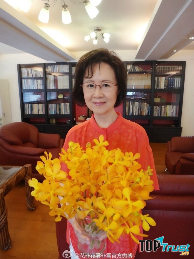 Tiểu thuyết được chuyển thể thành phim hay nhất của nữ văn sỹ Quỳnh Dao