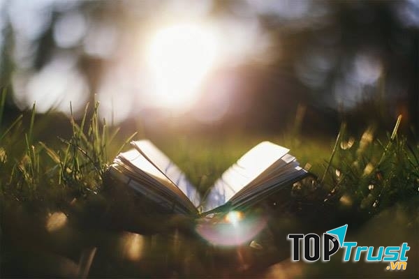 Tiểu thuyết ngôn tình hay nhất của tác giả Lục Xu