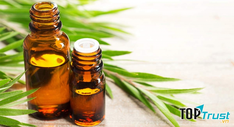 Tinh dầu tràm trà tốt nhất hiện nay
