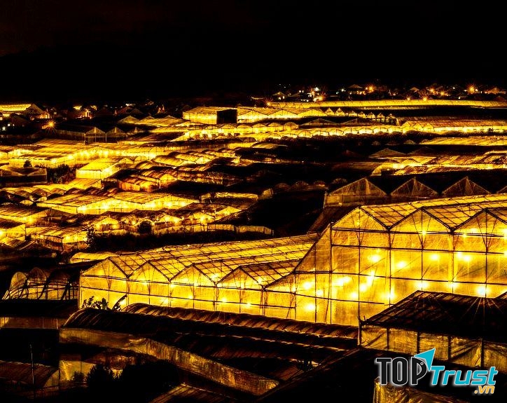 Tour dã ngoại Đà Lạt đáng trải nghiệm nhất năm 2019