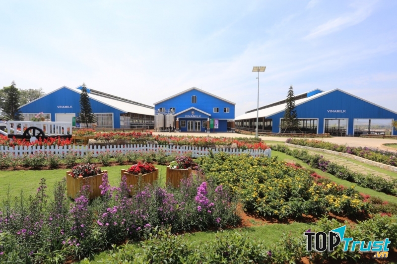 Trang trại đẹp nhất Đà Lạt