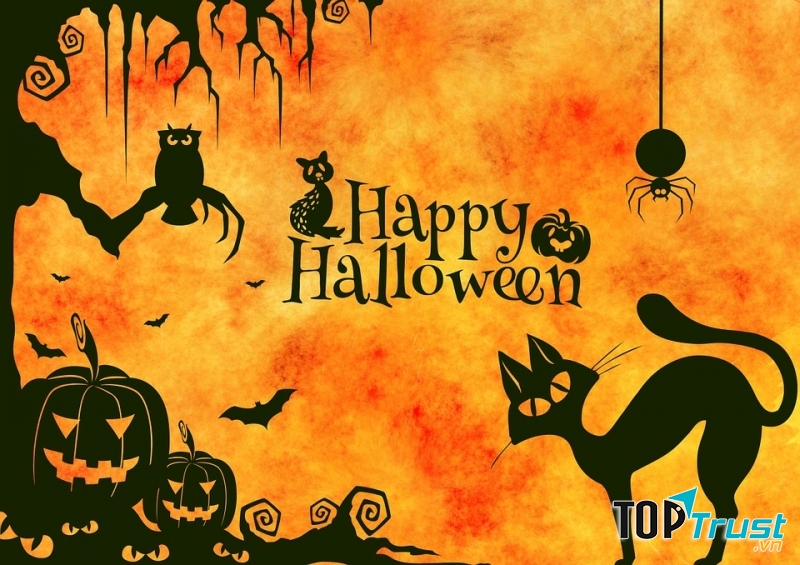 Trang web bán phụ kiện Halloween độc đáo nhất tại Việt Nam