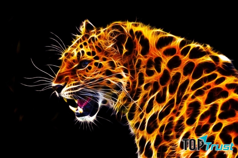 Trang web thú vị nhất thế giới