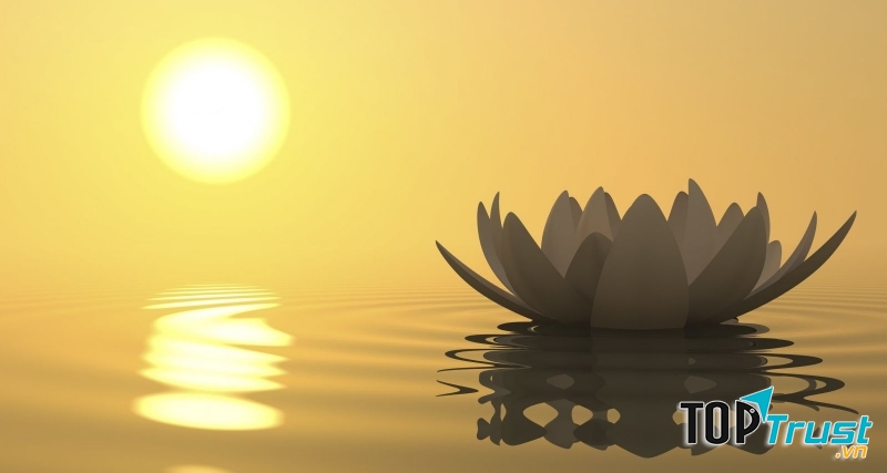 Trang web tìm hiểu về phật giáo hay nhất