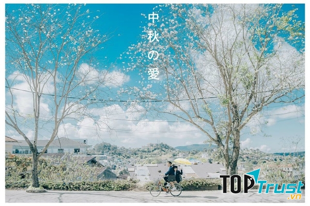 Trang web truyện ngôn tình Trung Quốc được yêu thích nhất hiện nay