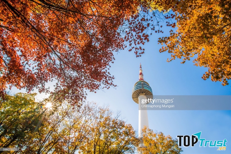 Trung tâm học tiếng hàn tốt nhất gần quận 8 , TP. HCM