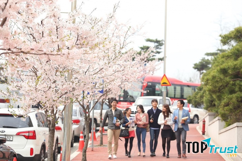 Trung tâm học tiếng Hàn tốt nhất tại An Giang