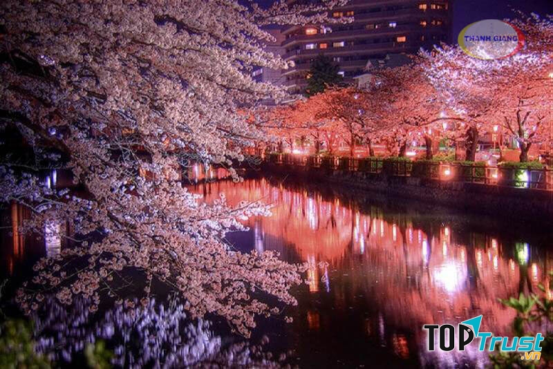 Trung tâm học tiếng Nhật tốt nhất Quận Bình Thạnh, TP.HCM