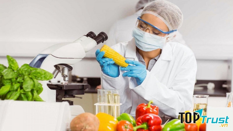 Trường Đại học đào tạo ngành Công nghệ thực phẩm tại TP.HCM tốt nhất hiện nay