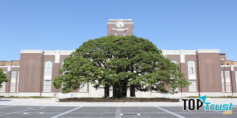 Trường đại học tốt nhất cho du học sinh Việt Nam tại Nhật Bản